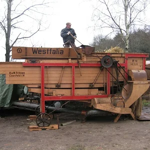 AG323
