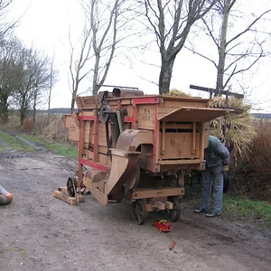AG 323