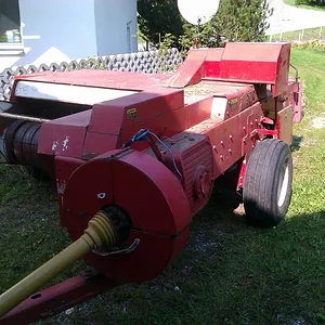 IHC 955