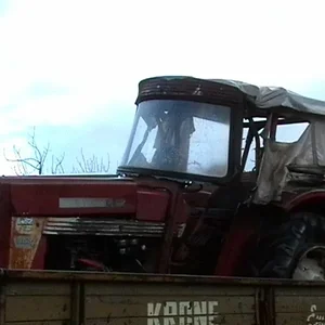 ihc 353 zum schlachten