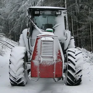 Schneeversteckspiel