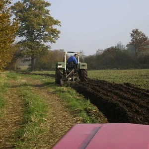"Rot jagd Grün"