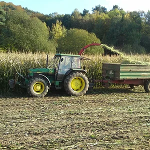 John Deere 2650 im Mais 2011