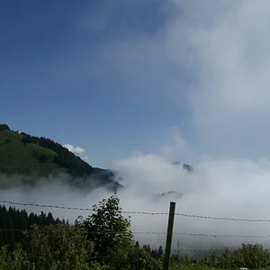 Schorsch