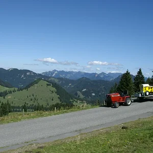 Schorsch