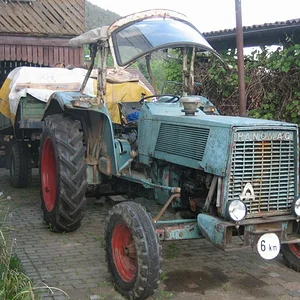 Inglorion439