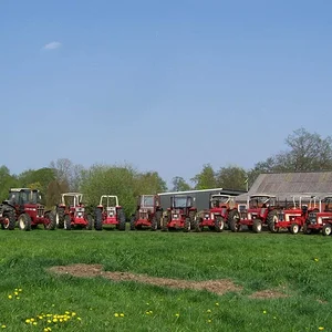 IHC-Treffen