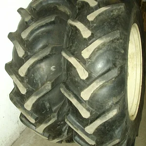 Schorsch