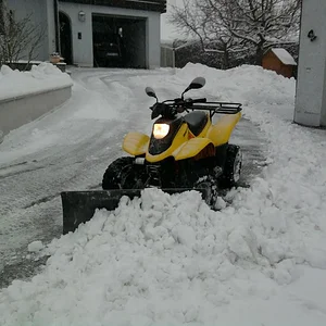 mit Schneeschild