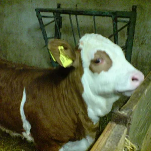 Nachwuchs :D