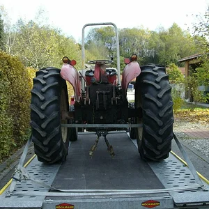 Schorsch
