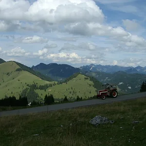 Schorsch