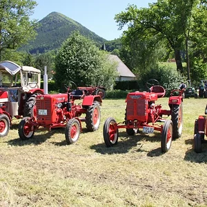 IHC 824S