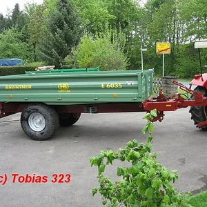 Tobias