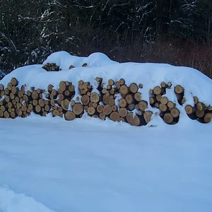Holzlager