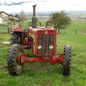 IHC 434
