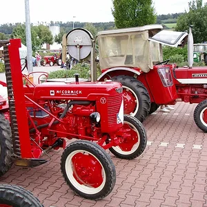 IHC-Manni