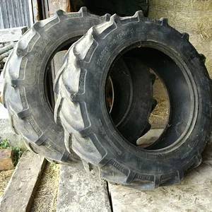 Schorsch