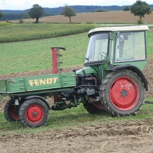 Kartoffel 2009