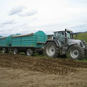 Kartoffel 2009