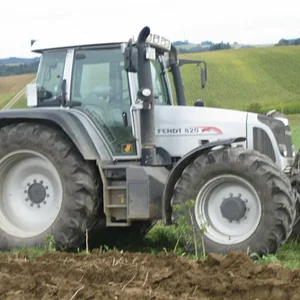 Kartoffel 2009