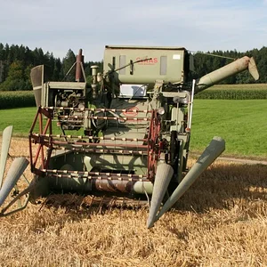 IHC 824