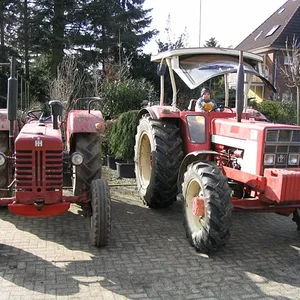 Tim Bollwerk