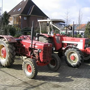 Tim Bollwerk