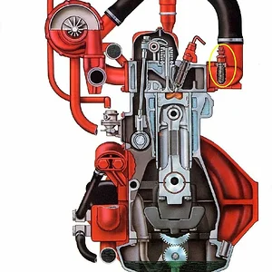 D-239
