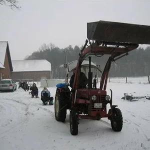 Markus D 436