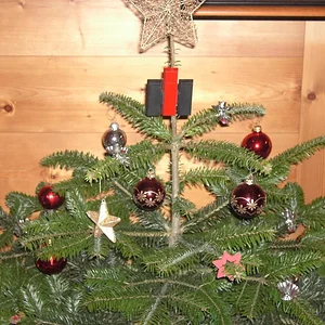 IHC am Weihnachtsbaum