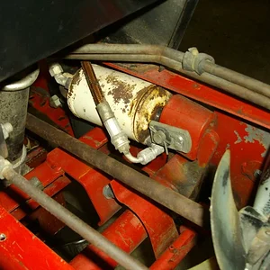 Schorsch