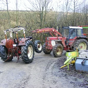 Harfensnger