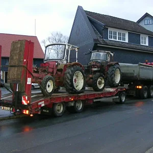 Harfensnger