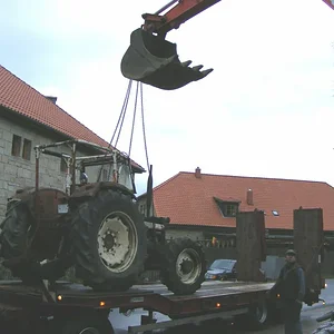 Harfensnger