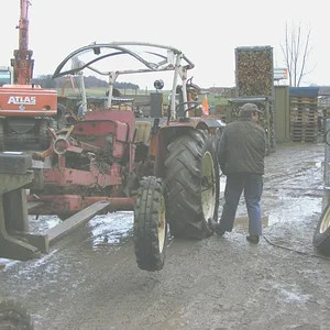 Harfensnger