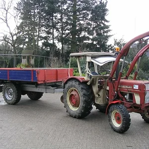 Tim Bollwerk