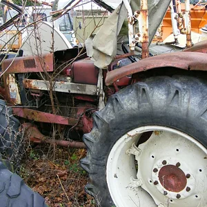 Harfensnger