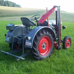 Eicher 25/III