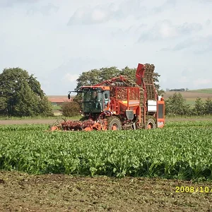 rübenroden