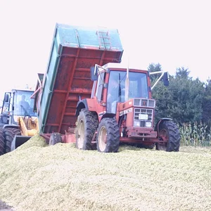 ich