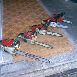 Unsere Fichtenmopeds !!!