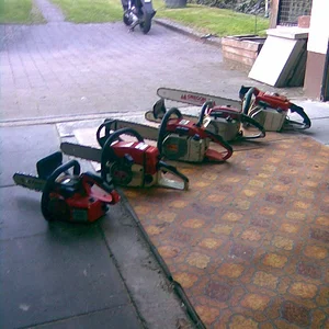 Unsere Fichtenmopeds !!!