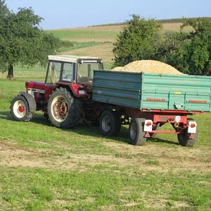 Hackschnitzel 2008