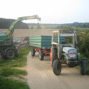 Hackschnitzel 2008