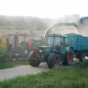 Hackschnitzel 2008