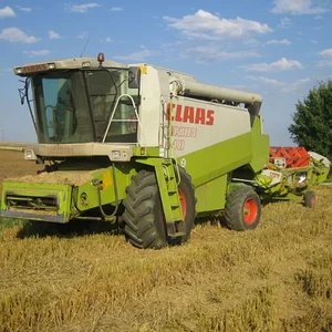 Dreschen 2008