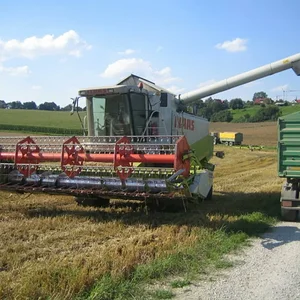 Dreschen 2008