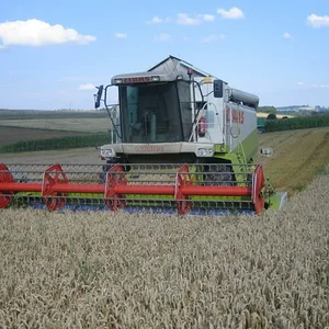 Dreschen 2008