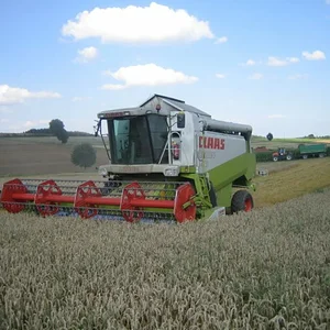 Dreschen 2008